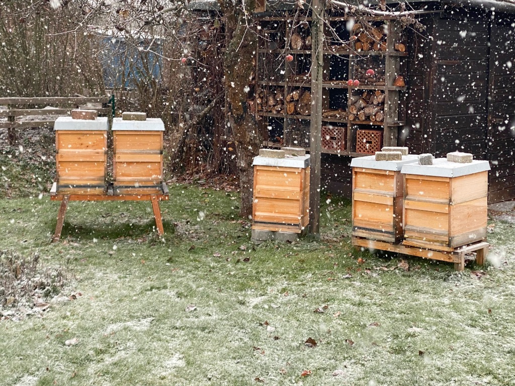 Bienenstock im Winter