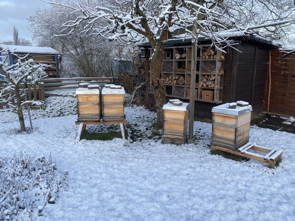 Bienenstand im Schnee