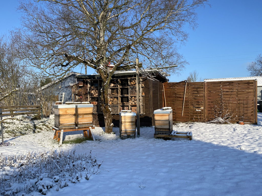 Bienenstand im Schnee