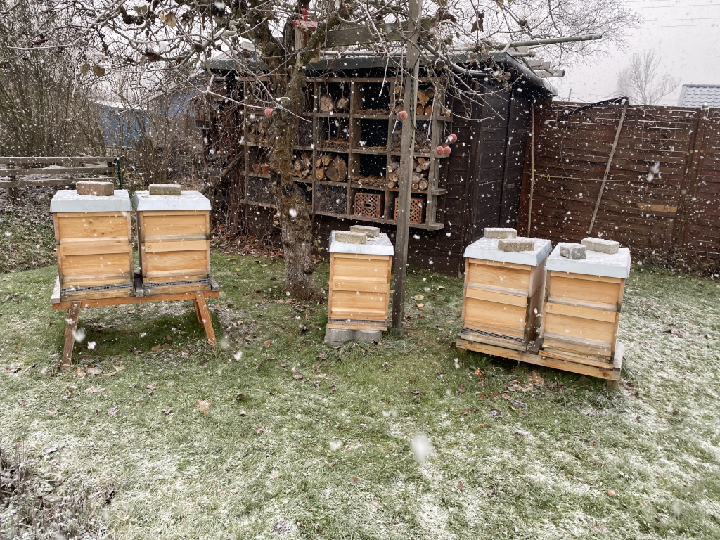 Schneefall am Bienenstand